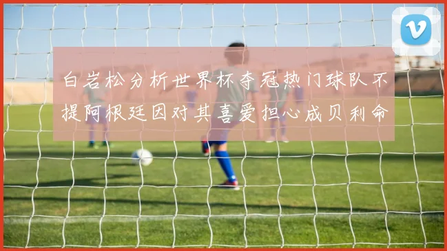 白岩松分析世界杯夺冠热门球队不提阿根廷因对其喜爱担心成贝利命运